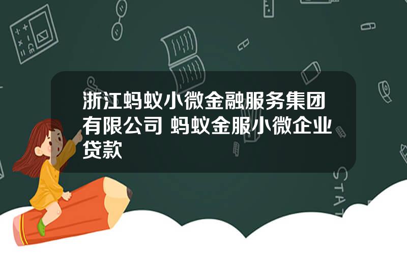 浙江蚂蚁小微金融服务集团有限公司 蚂蚁金服小微企业贷款